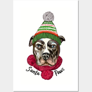 Santa Paws Pitbull Dog Posters and Art